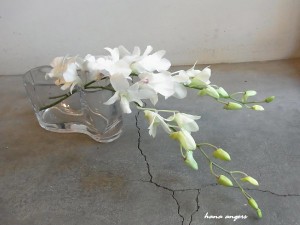 hana angers flower