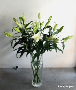 hana angers flower